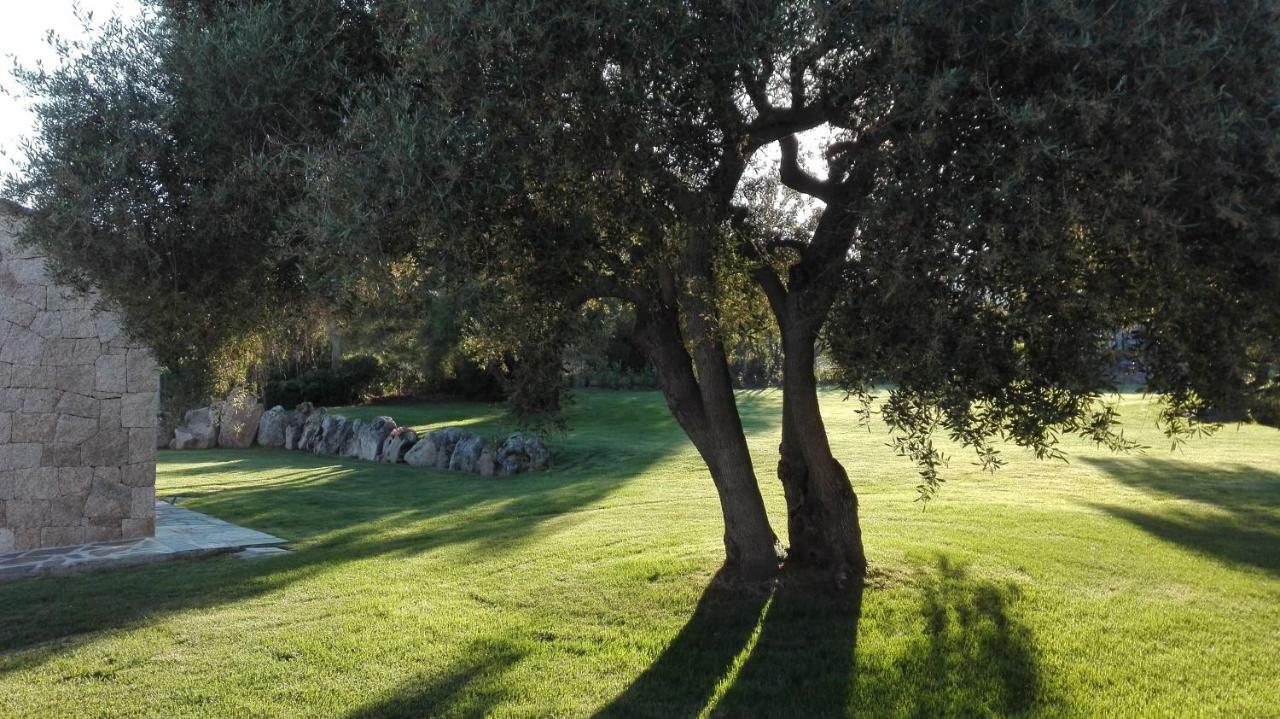 B&B Majore Olbia Exteriér fotografie