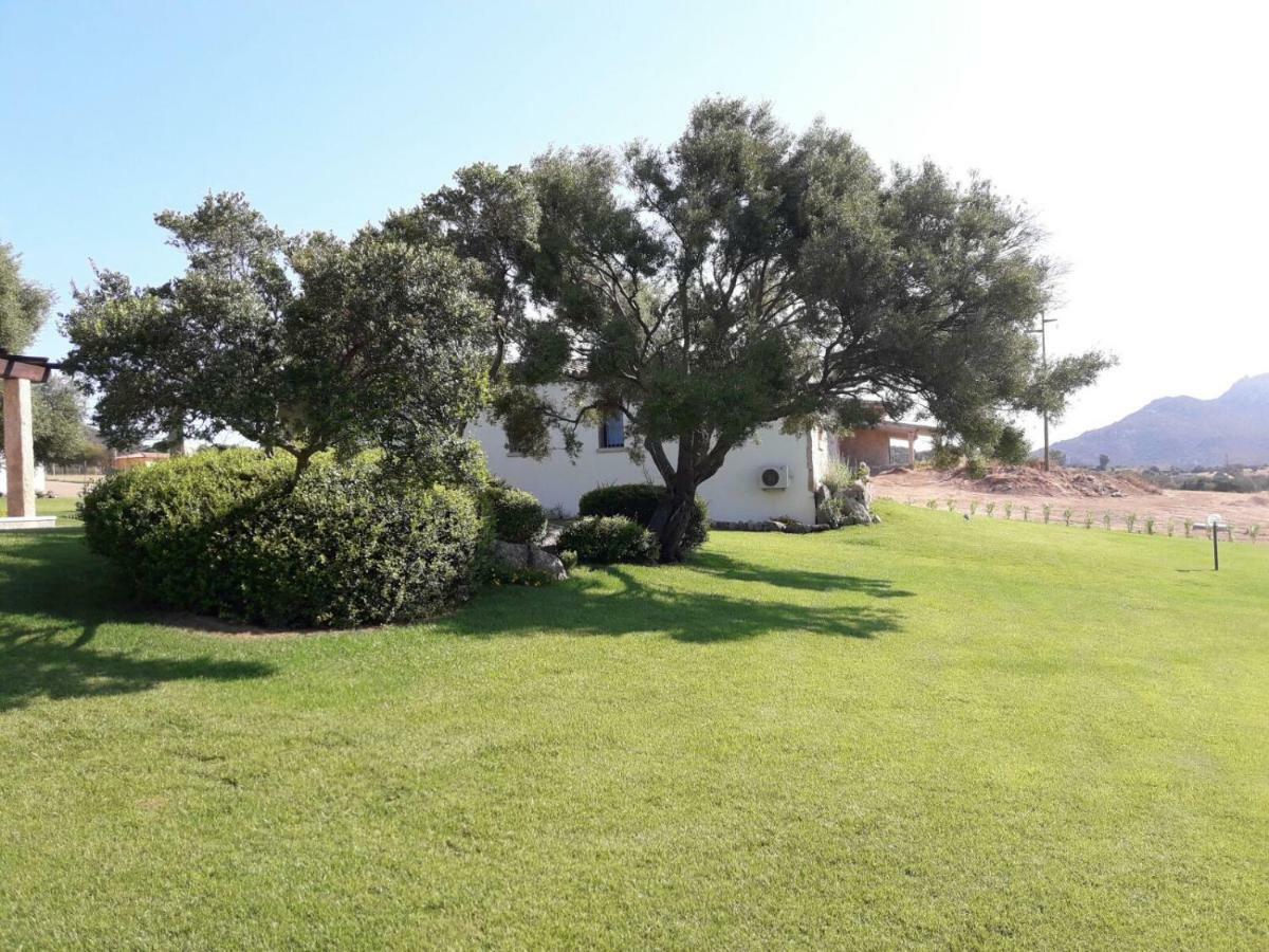 B&B Majore Olbia Exteriér fotografie