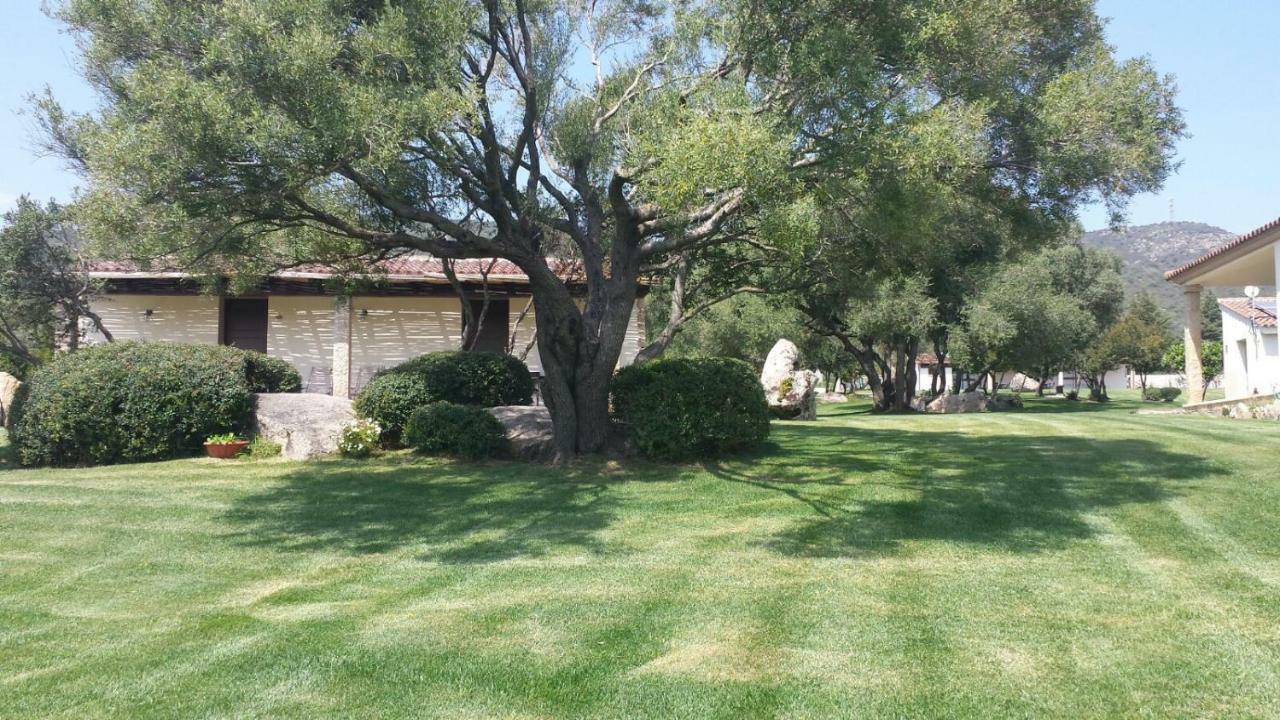 B&B Majore Olbia Exteriér fotografie