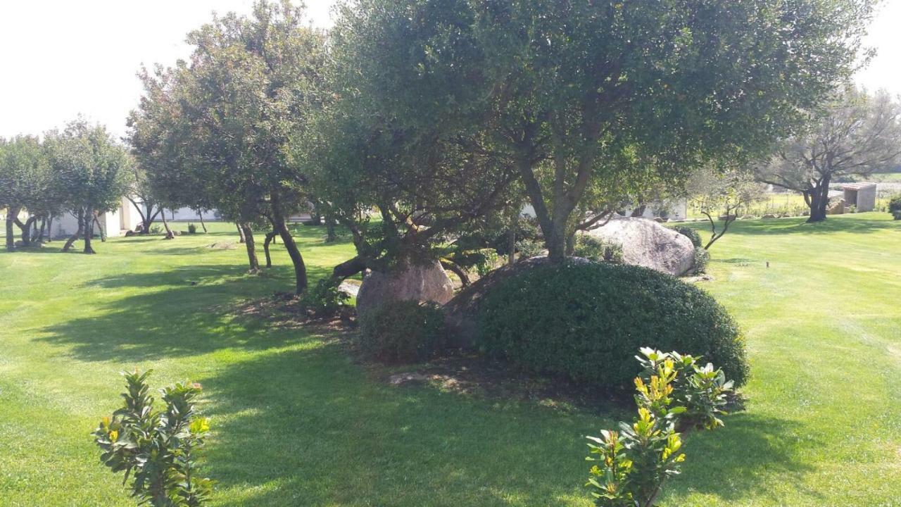 B&B Majore Olbia Exteriér fotografie