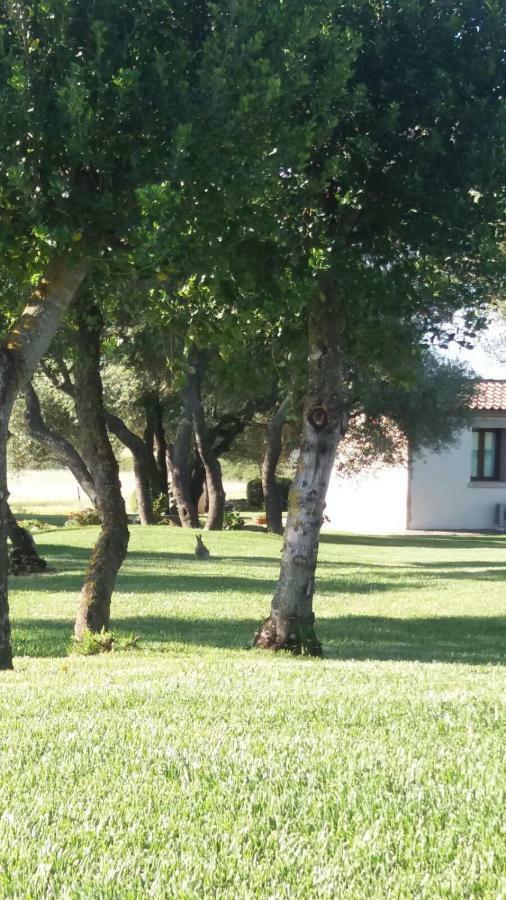 B&B Majore Olbia Exteriér fotografie