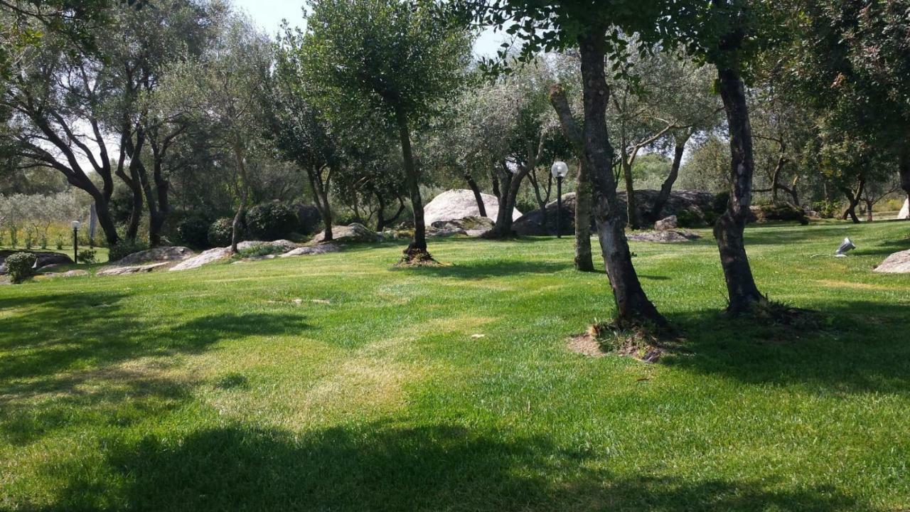 B&B Majore Olbia Exteriér fotografie